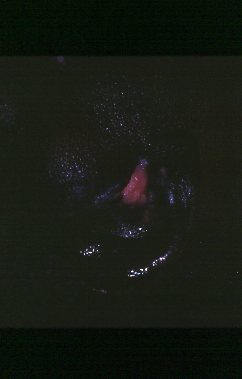 1-42
